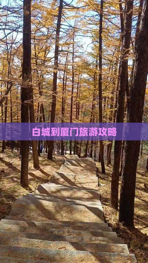 白城到厦门攻略