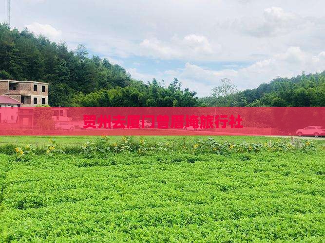 贺州去厦门曾厝埯旅行社