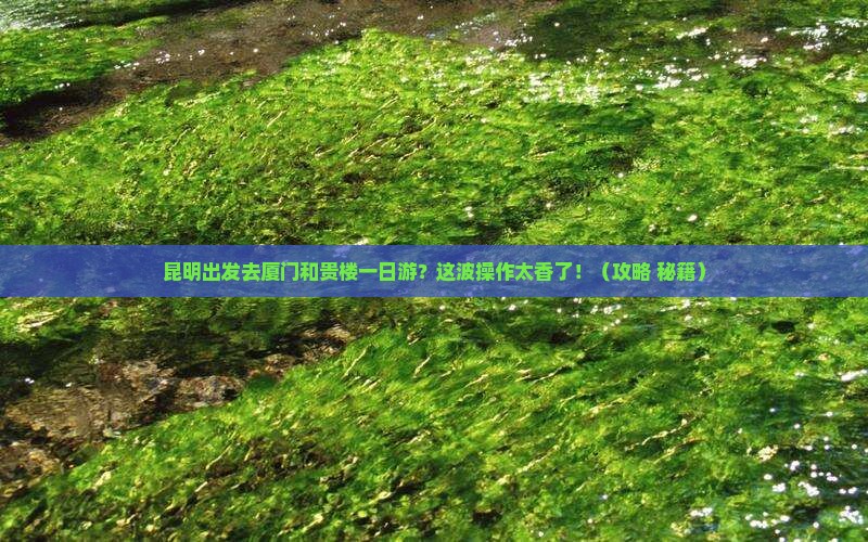 昆明去厦门和贵楼一日