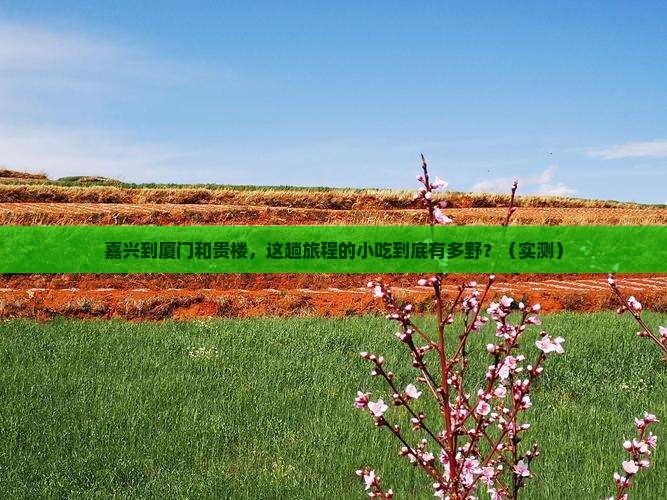 嘉兴到厦门和贵楼旅游小吃