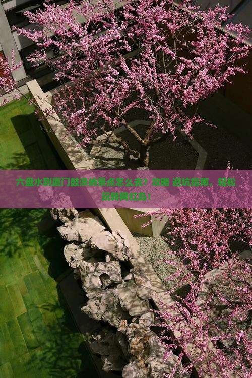 六盘水到厦门鼓浪屿景点