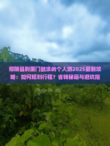 鄢陵县到厦门鼓浪屿个人游