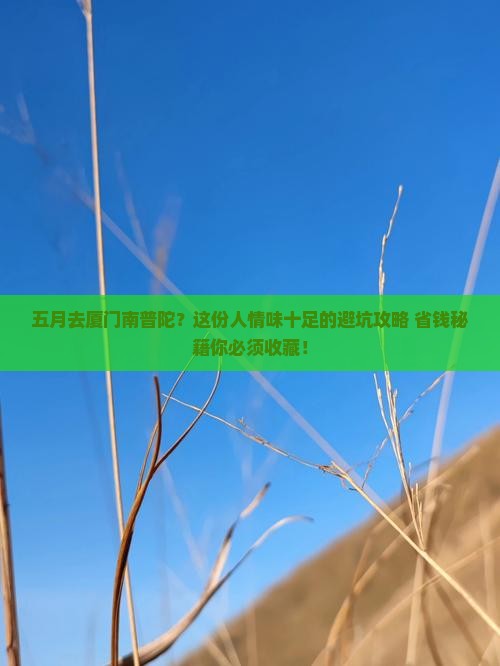 五月去厦门南普陀景点