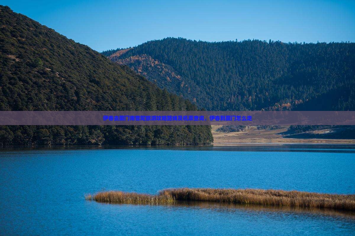 伊春去厦门南普陀旅游