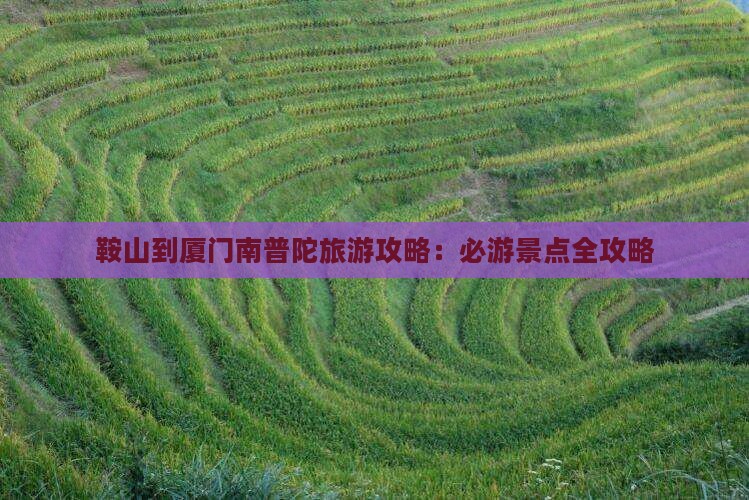 鞍山到厦门南普陀自由行