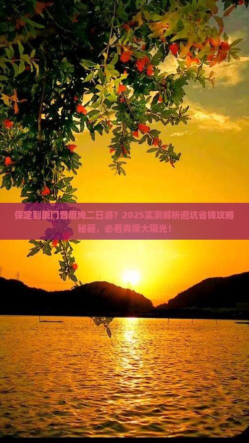 保定到厦门曾厝埯二日游