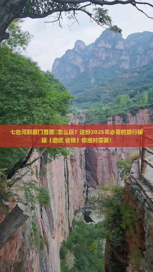 七台河去厦门曾厝埯必去地