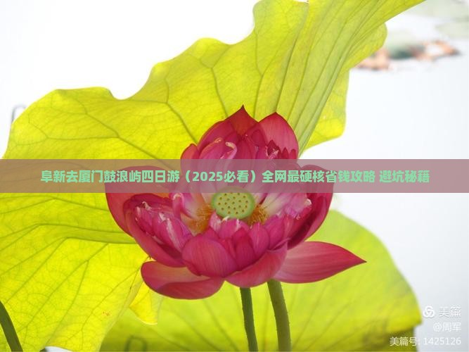 阜新去厦门鼓浪屿四日游