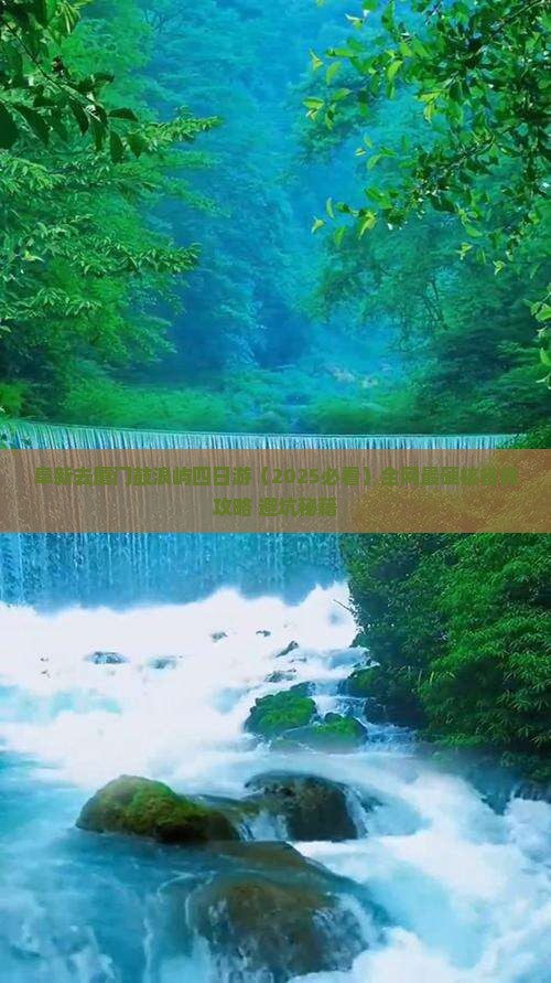 阜新去厦门鼓浪屿四日游
