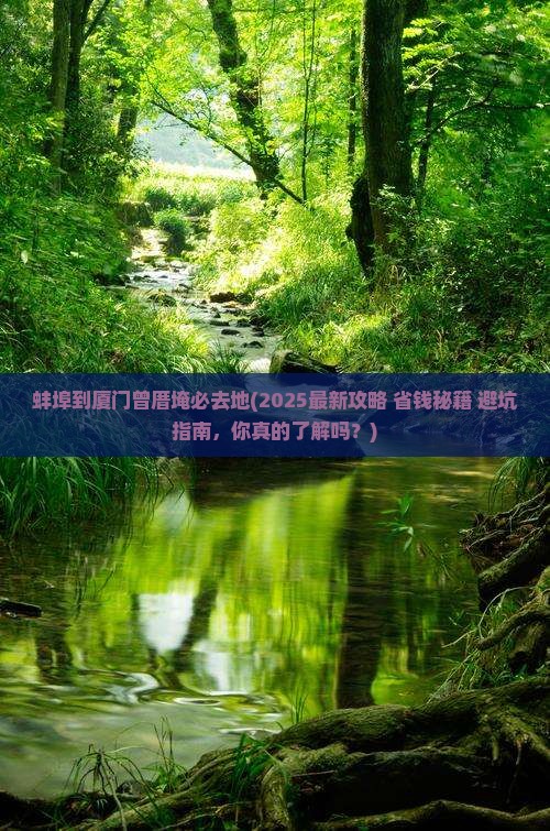 蚌埠到厦门曾厝埯必去地