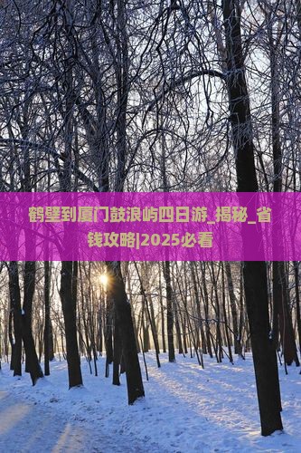 鹤壁到厦门鼓浪屿四日游