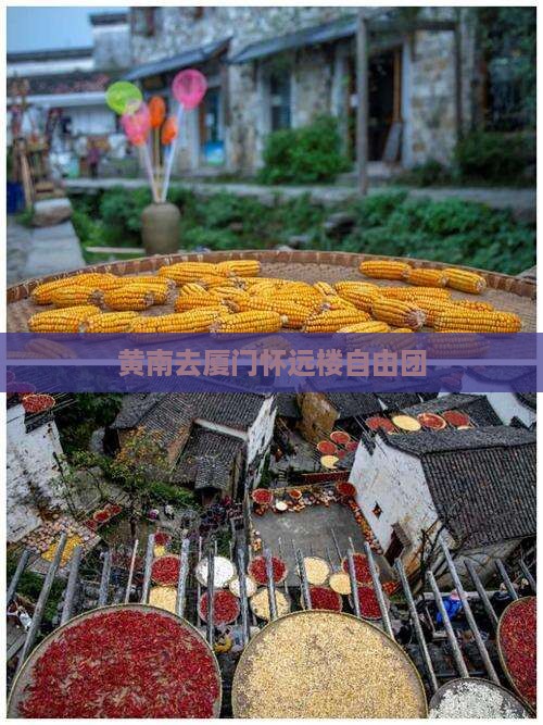 黄南去厦门怀远楼自由团