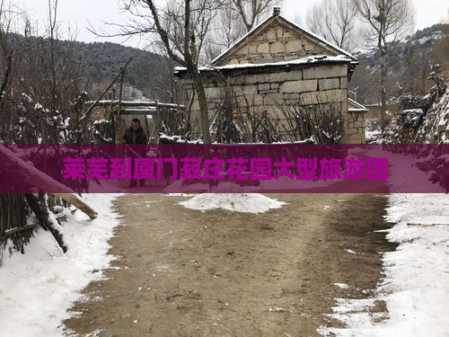 莱芜到厦门菽庄花园大型旅游团