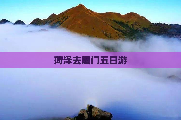 菏泽去厦门五日游