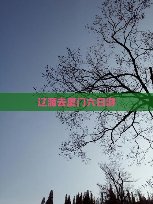 辽源去厦门六日游