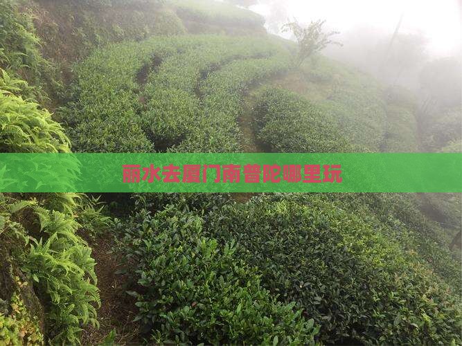 丽水去厦门南普陀哪里玩