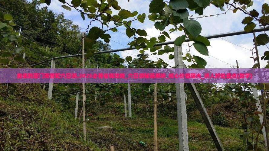 娄底到厦门南普陀六日游