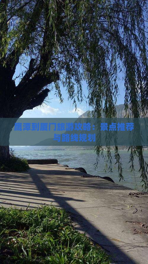 鹰潭到厦门哪里玩