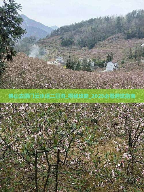 佛山去厦门云水谣二日游