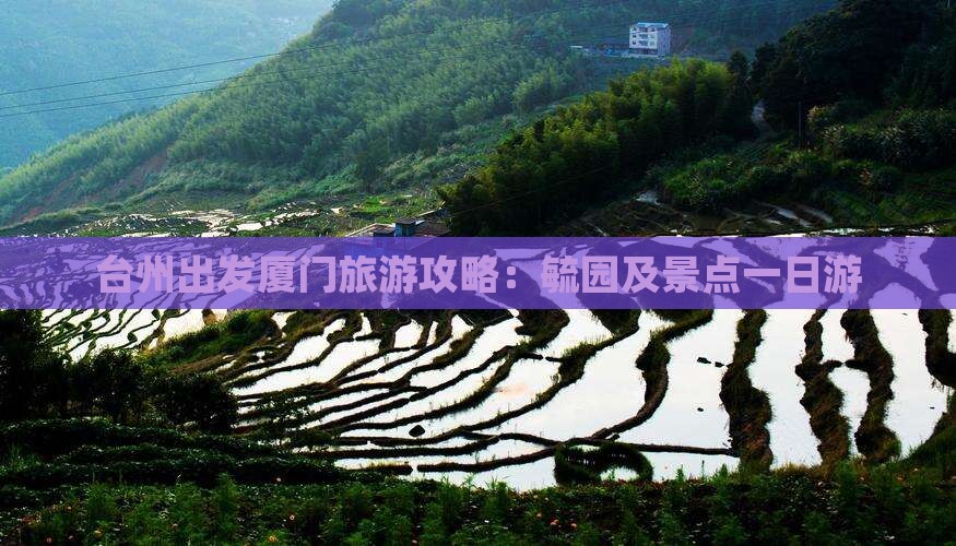 台州去厦门毓园一日