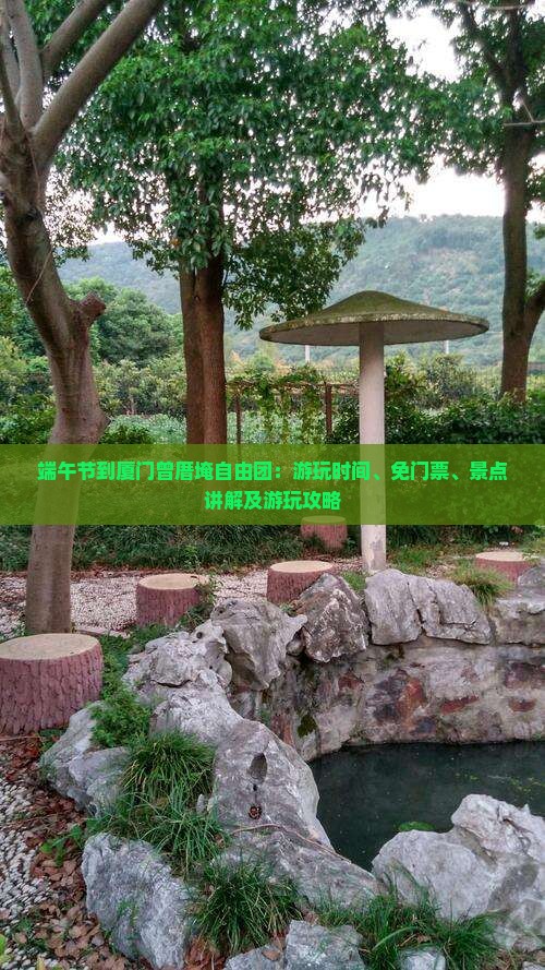 端午节到厦门曾厝埯自由团