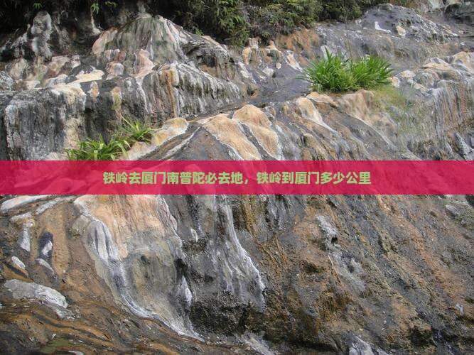 铁岭去厦门南普陀必去地