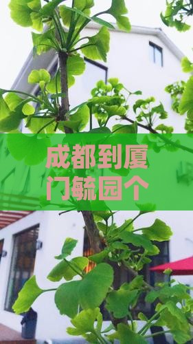 成都到厦门毓园个人游
