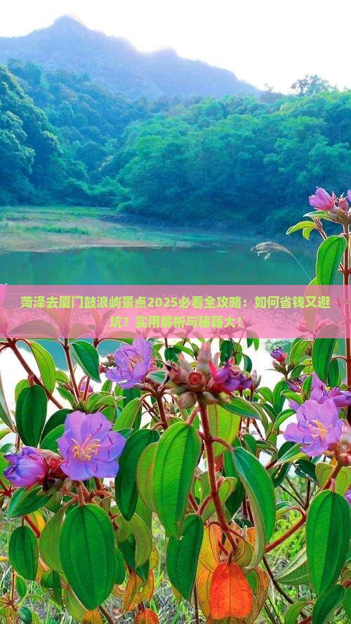 菏泽去厦门鼓浪屿景点