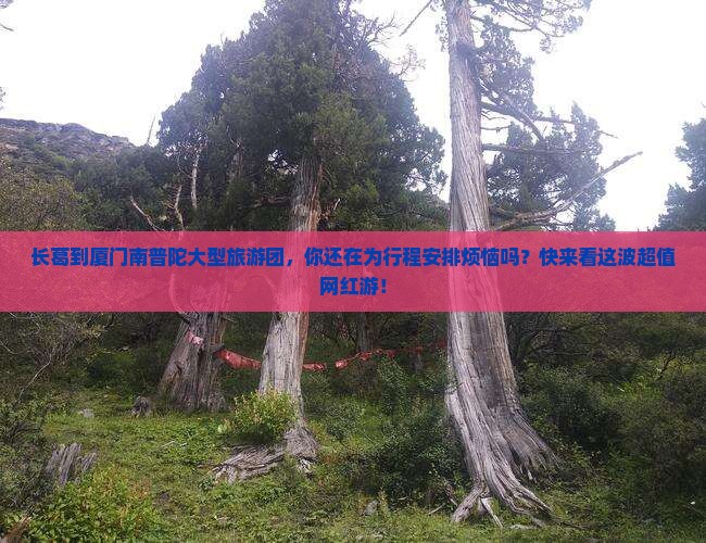 长葛到厦门南普陀大型旅游团