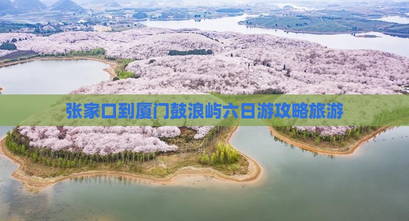 张家口到厦门鼓浪屿六日游