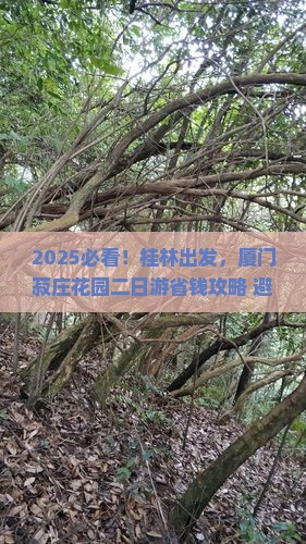 桂林去厦门菽庄花园二日游