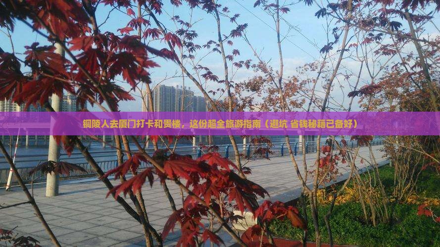 铜陵去厦门和贵楼大型旅游团