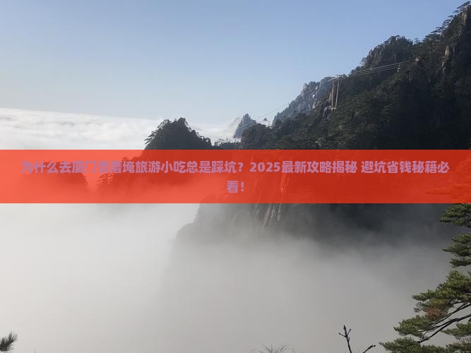 延安去厦门曾厝埯旅游小吃
