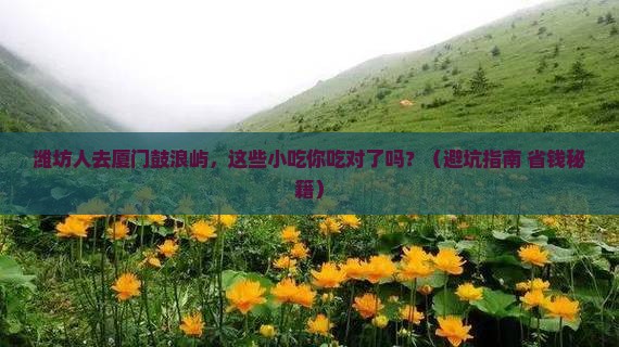 潍坊去厦门鼓浪屿旅游小吃