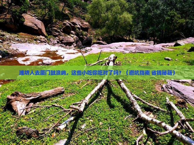 潍坊去厦门鼓浪屿旅游小吃