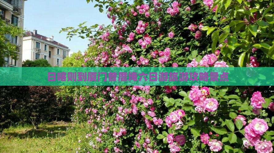 日喀则到厦门曾厝埯六日游