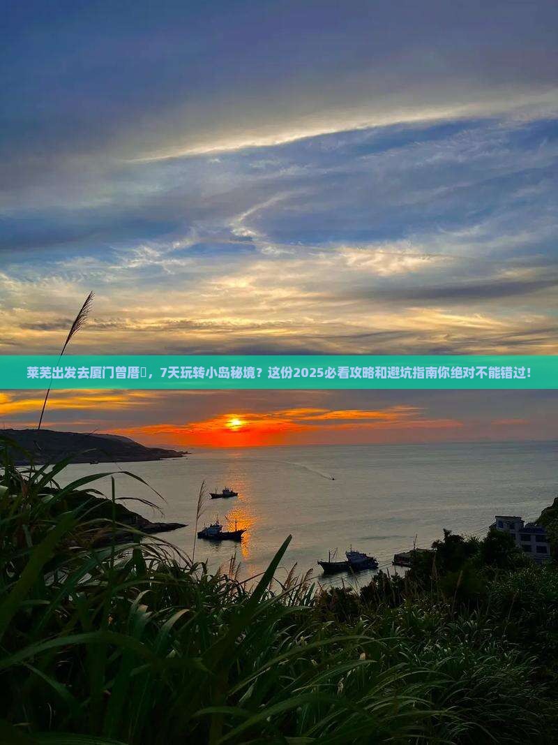 莱芜去厦门曾厝埯七日游