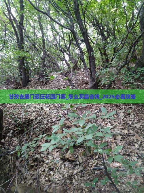 甘孜去厦门菽庄花园门票