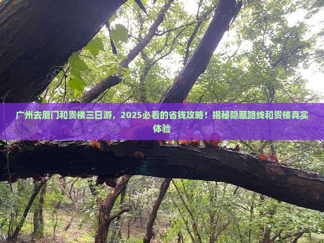 广州去厦门和贵楼三日游
