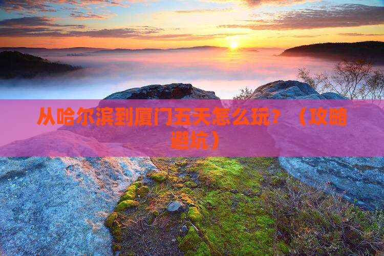 大兴安岭到厦门毓园五日游