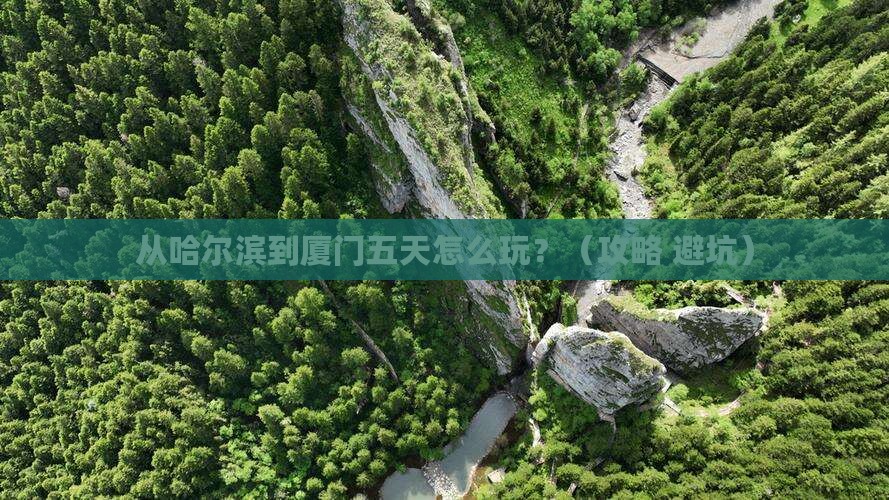 大兴安岭到厦门毓园五日游