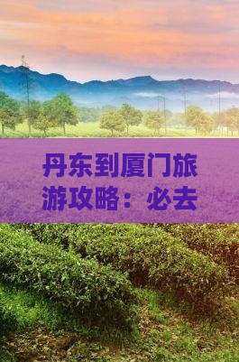 丹东去厦门个人游