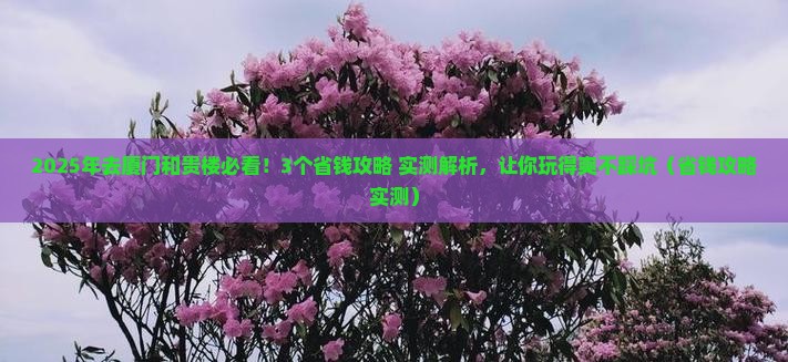 白银去厦门和贵楼攻略