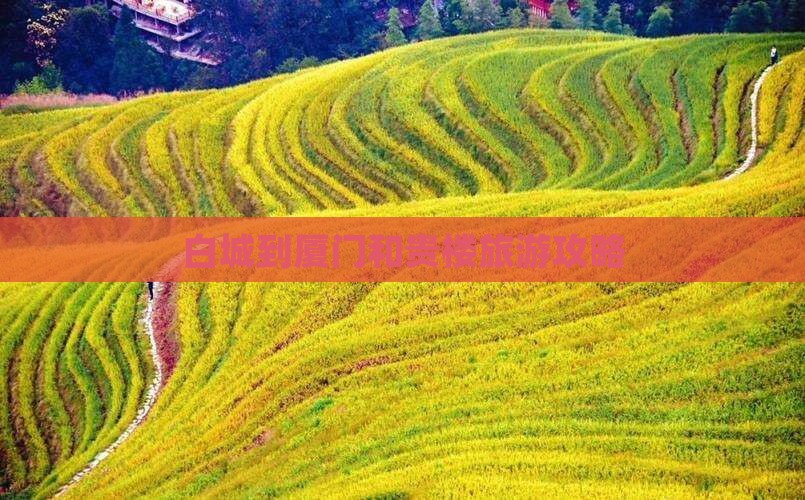白城到厦门和贵楼大型旅游团