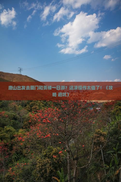 唐山去厦门和贵楼一日