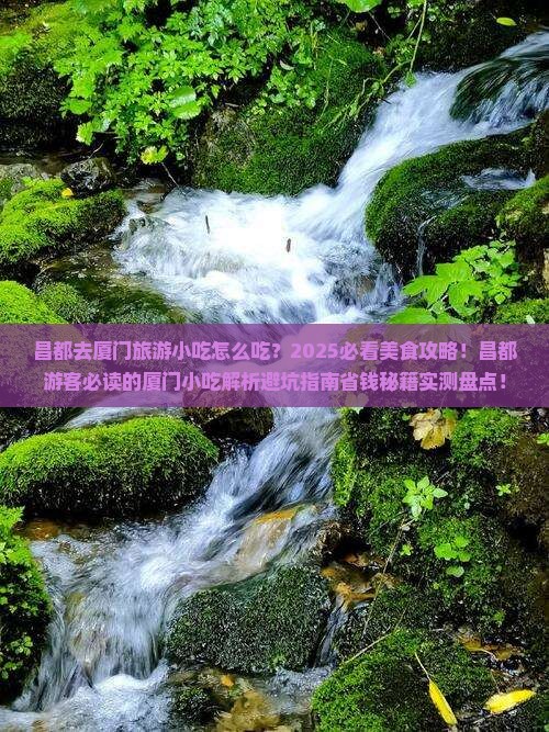 昌都去厦门旅游小吃