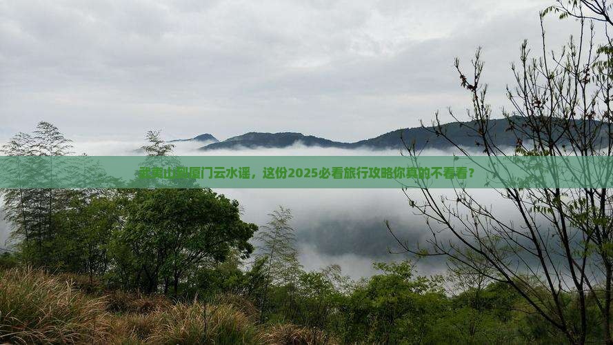 武夷山到厦门云水谣团体旅游