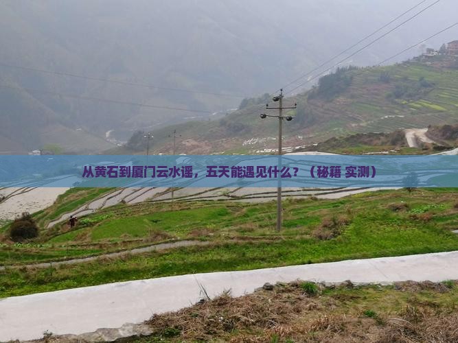 黄石到厦门云水谣五日游