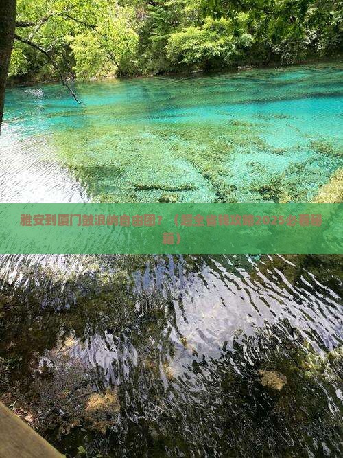 雅安到厦门鼓浪屿自由团