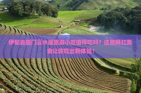 伊犁去厦门云水谣旅游小吃